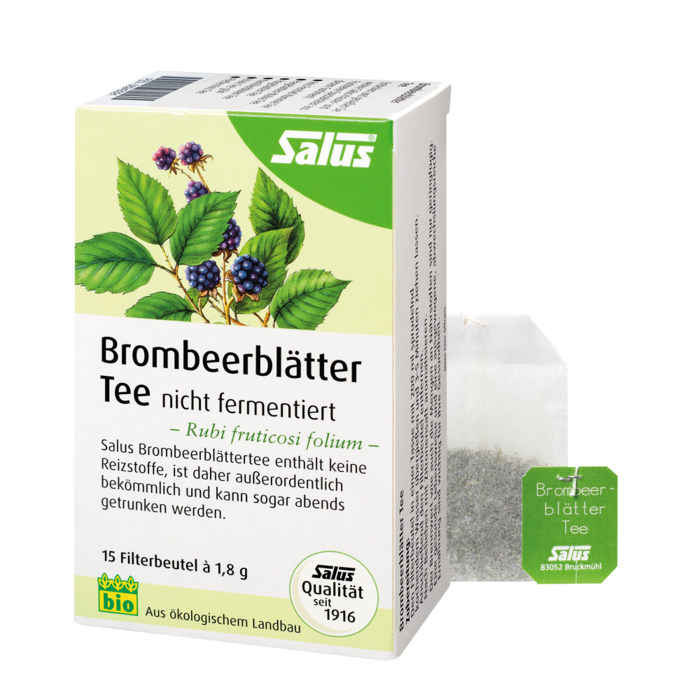 BROMBEERBLÄTTERTEE Kräutertee Bio Salus Filterbtl.